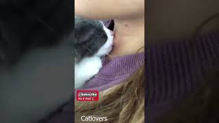 Download lagu nih pelakunya yang cupang leher aku #shorts #catlovers #catlover #kucinglucu seri 109 mp3