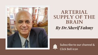 Dr. Sherif Fahmy - Arterial supply of the Brain