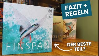 Flossenschlag Spiel + Alle Regeln und Fazit zum Brettspiel Hit