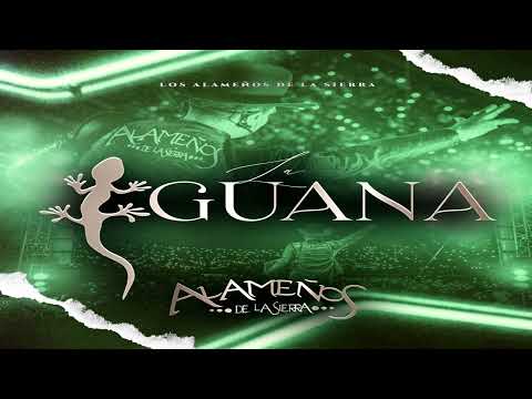La Iguana - @LosAlamenosDeLaSierra  2022
