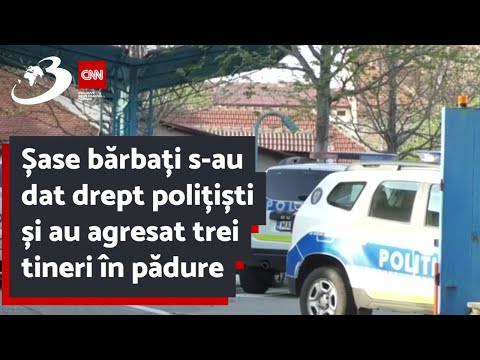 Șase bărbați s-au dat drept polițiști și au agresat trei tineri în pădure
