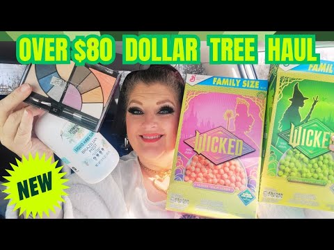 X-LARGE DOLLAR TREE HAUL | OVER $80 | February 24, 2026