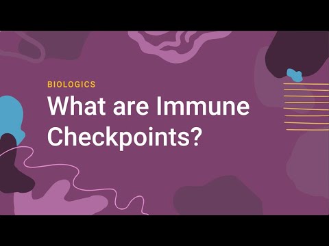 What are Immune Checkpoints?