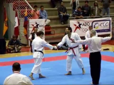 2º TORNEO INTERNACIONAL JKA COLUMBUS 1492 (mayo 2014)