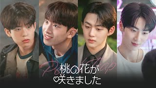 🍑韓国BLドラマ「桃の花が咲きました」予告編