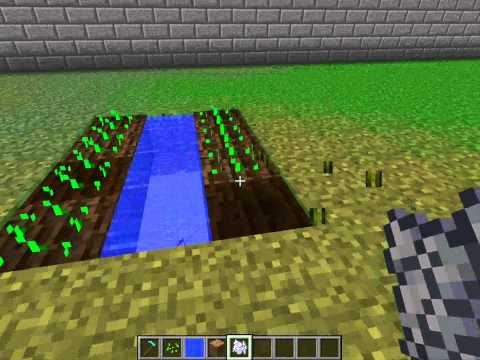 Jak něco vypěstovat na Minecraftu(Pro nováčky).