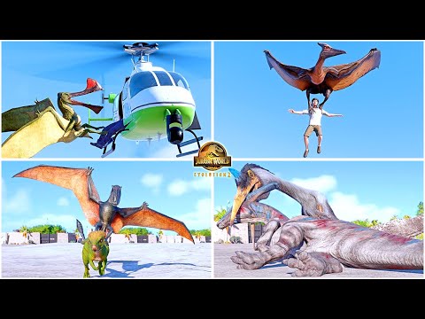 All Flying Reptiles Animations, Quetzalcoatlus, Pteranodon, Dimorphodon 🦖 Jurassic World Evolution 2