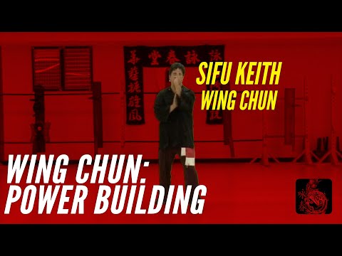 Wing Chun: Power Building