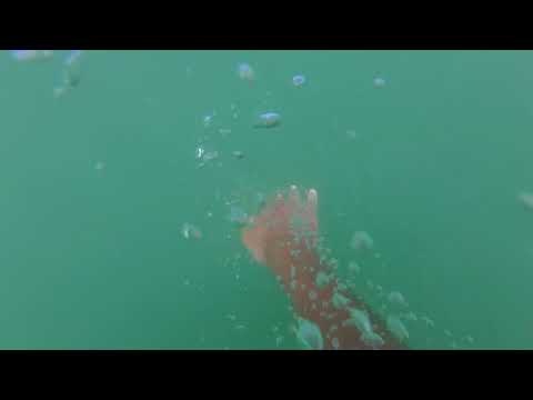 Cross Triathlon - Verbier - Août 2018