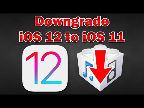 How to Downgrade iOS 12 Beta to iOS 11.4 / 11.4.1 on iPhone, iPod touch & iPad (Without Losing Data)