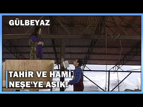 Tahir ve Hami, Neşe'ye Aşık! - Gülbeyaz 11.Bölüm