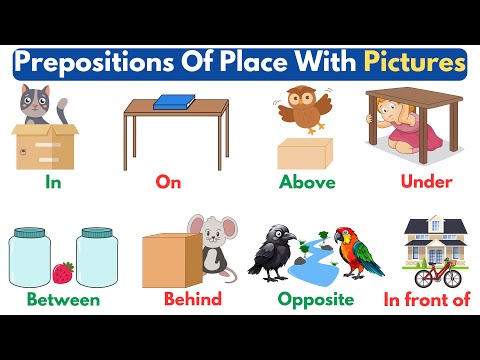 Preposition: Prepositions Of Place In English |Basic Prepositions With Pictures in English Grammar