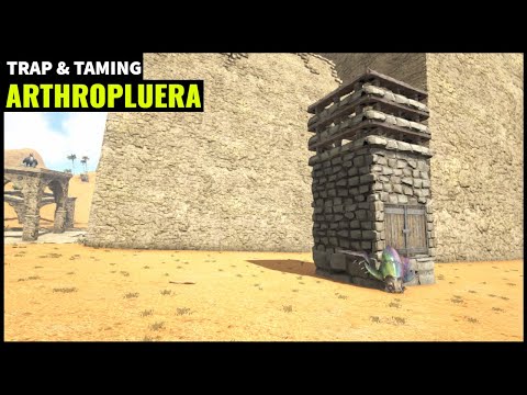 HOW TO BUILD AN ARTHROPLUERA TRAP | HOW TO TAME AN ARTHROPLUERA | ARK SURVIVAL