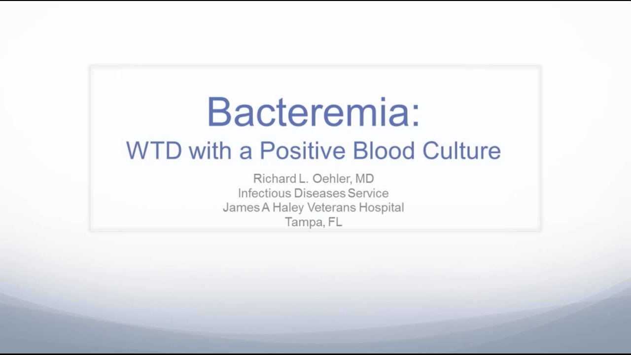 What To Do With A Positive Blood Culture -- Richard L Oehler, MD - YouTube
