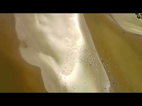 Prueba Dron, Arroyo Pando, El pinar, Canelones, Uruguay 🇺🇾