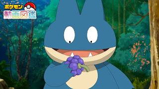 【公式】「ポケモン動画図鑑」No.0446 ゴンべ