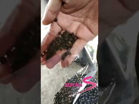 Suyan mbp01 black pepper, for spices, packaging size: 50kg