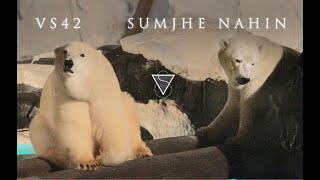 VS42 - Sumjhe Nahin (Campus Diaries Soundtrack)