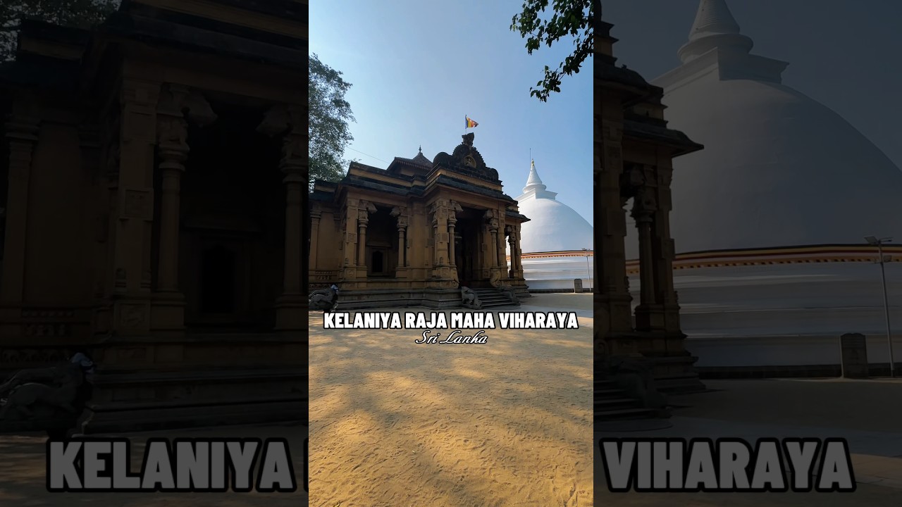 YouTube Short thumbnail