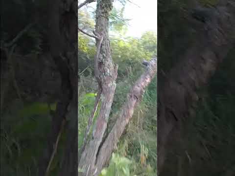 rio ceballos cordoba argentina