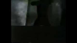 Skinny Puppy - Anger (Live)