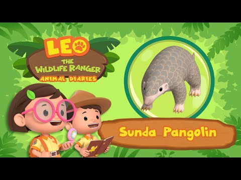 Witness21 Editor  2022 02 19