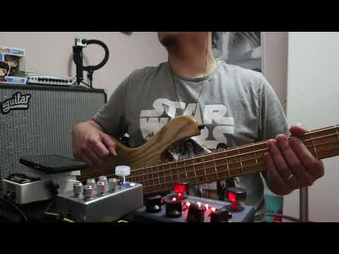 Maruszczyk Frog Beta 5a • D’Addario NYXL Bass Strings