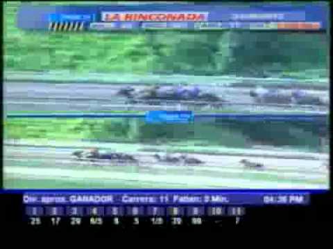 11 CARRERA DOM 24 JUNIO LA RINCONADA AUDIOHPISMO