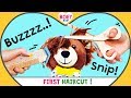 FIRST HAIRCUT Getting A Haircut For Toddlers Going To The Hairdresser Boy Girl BOEY Bear