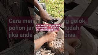 Download lagu Cara membuat gagang golok pohon jambu, 💯 % anda juga bisa #brandayoutube #brandashorts #pandebesi mp3