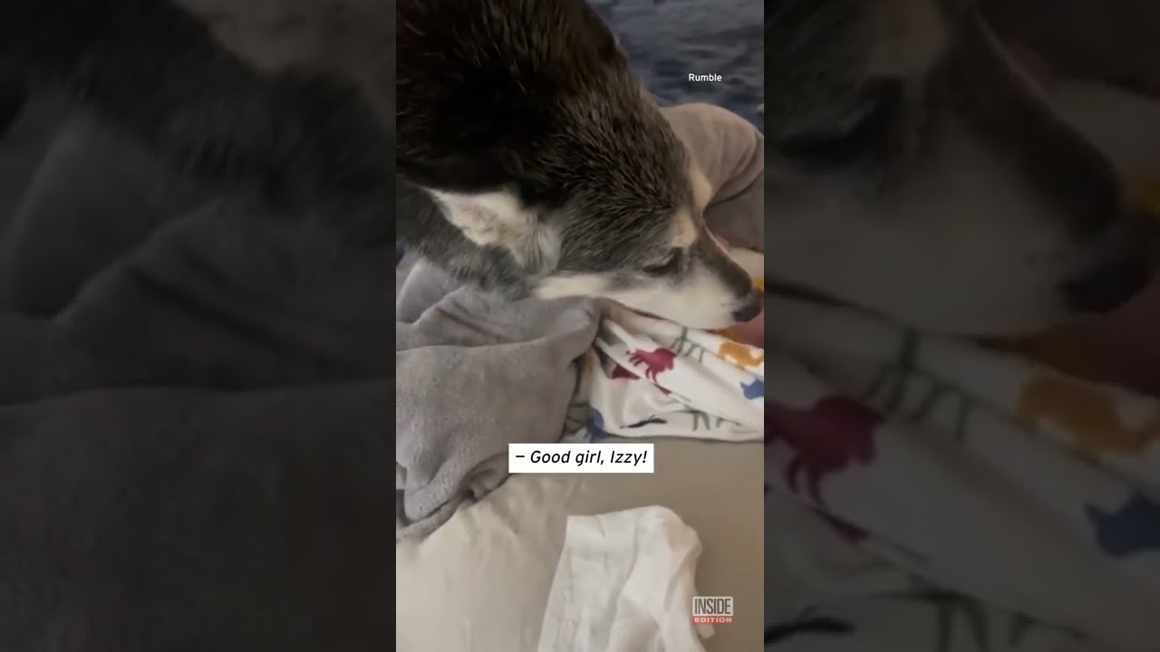 YouTube video preview