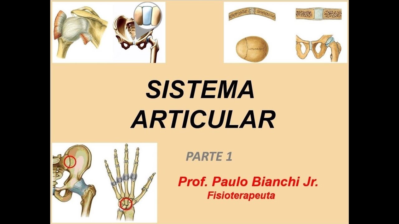 Sistema Articular - Parte 1