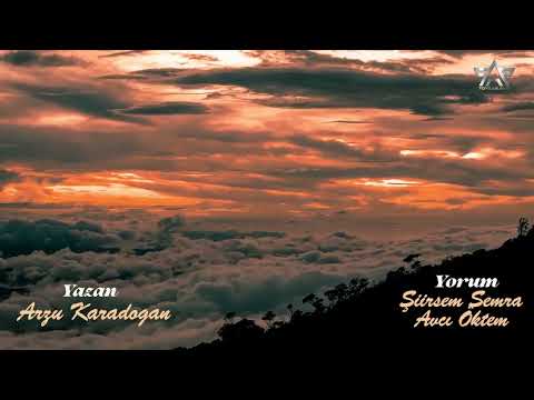 Susarak Seviyorum seni