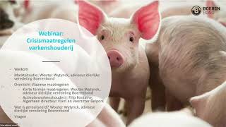 Webinar: Vlaams Crisispakket varkenshouderij