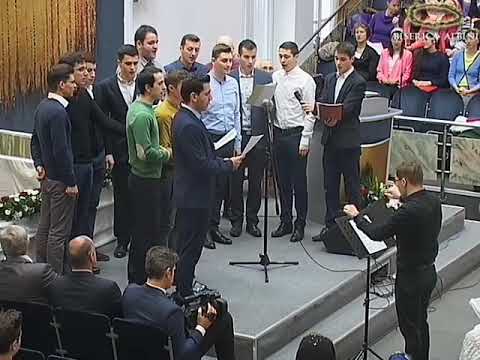 Grup Bărbătesc Albini - Mergeți în toată lumea