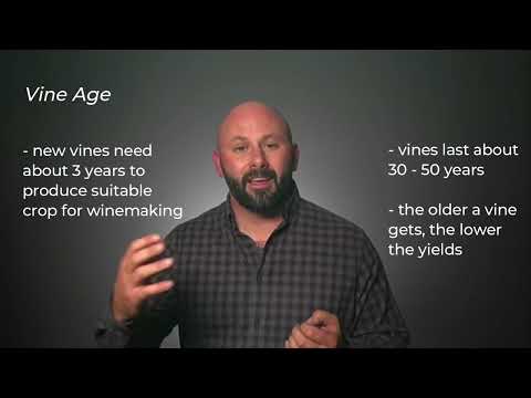 WSET - Napa Valley Wine Academy - Vineyard Management #wset #wsetlevel4