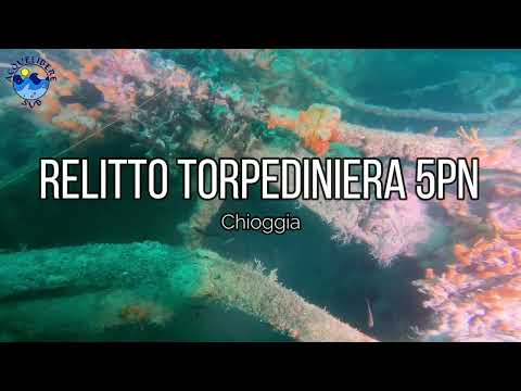 Il Relitto della Torpediniera 5PN - Immersioni sui Relitti dell'Alto Adriatico
