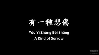 有一種悲傷 A Kind of Sorrow A-Lin 歌詞 Lyrics Mandarin/Pinyin/English