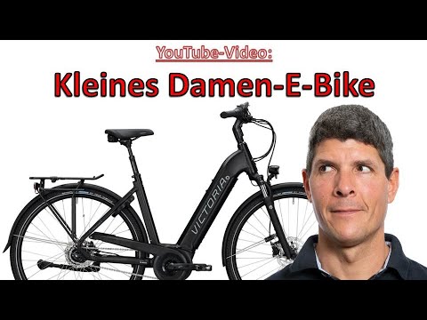 Victoria E-Trekking 11.6 - 26 Zoll mit Innengangschaltung