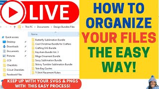 LIVE: LET'S ORGANIZE THOSE FILES | SVGs | PNGs | BUNDLES