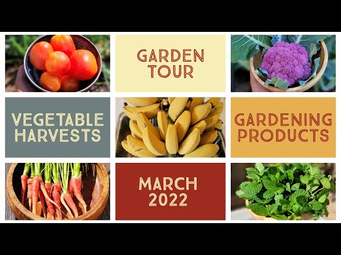 Gardening EPIC Garden Harvests FALL Organic Gardening Prep Garden Tour