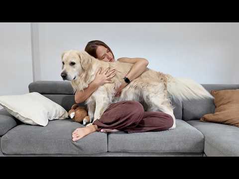 YouTube 썸네일