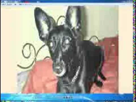 MIX-121 - Chorea Lux,Drukverdeler & DJ Bim,ELEA,Metronome u.v.a.(SET BY DJ HELMIC - 14.03.2015)