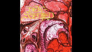 DEW-SCENTED - Immortelle 1996 full album
