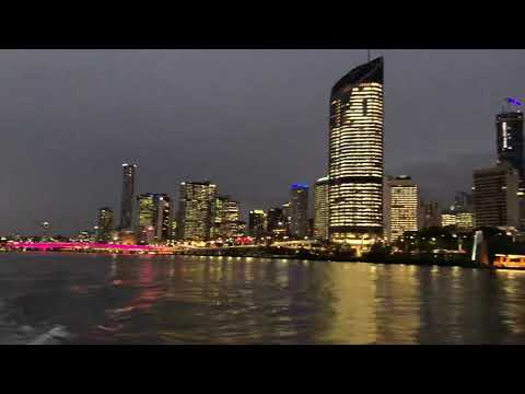 Brisbane city cat July 2018