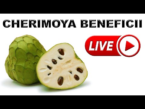 , title : 'Cherimoya beneficii wikipedia LIDL 💚 Fruct Hirimoia proprietăți beneficiu proprietate 💚 Slăbit RAPID'
