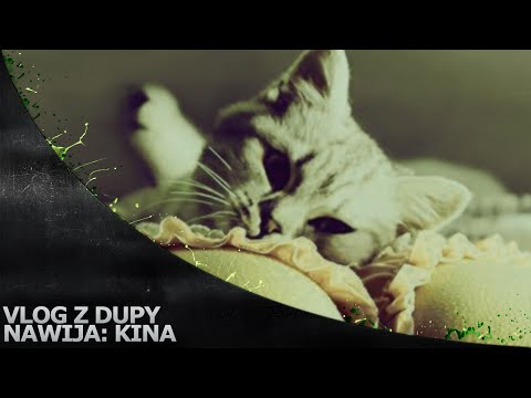 Vlog z Dupy - Dlaczego? Co i kiedy?