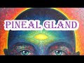 The Third Eye