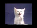 1990 Cat And Mouse Watch Commercial