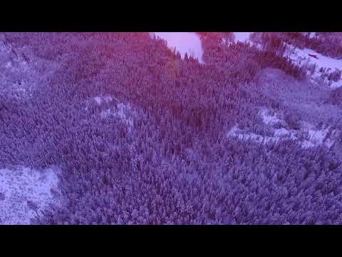 Футаж Красивый снежный лес вид сверху